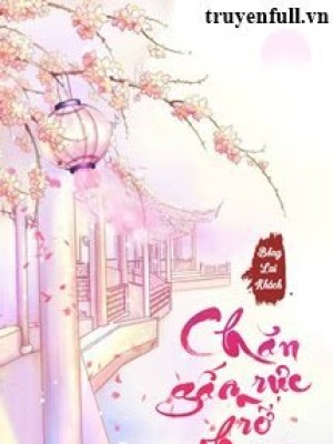 Chăn gấm rực rỡ thay