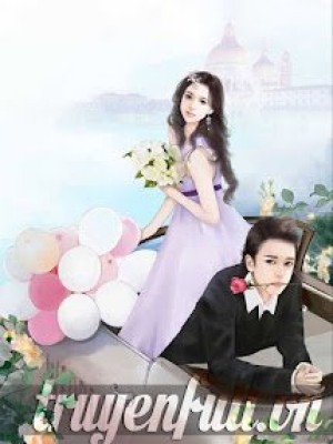 Cô vợ hoàn hảo