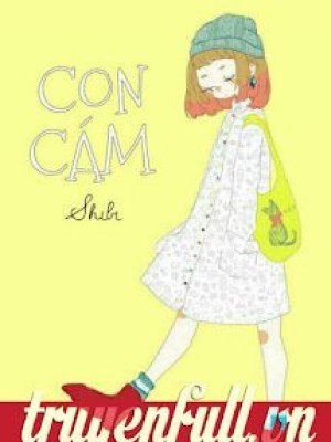 Con cám