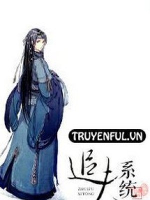 Hệ thống truy phu