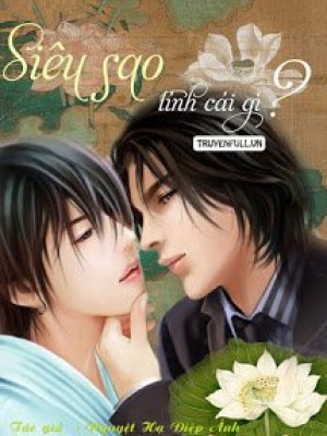 Siêu sao, tính cái gì?