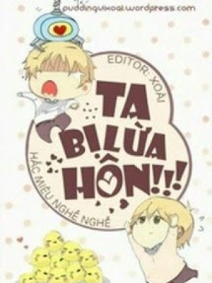 Ta bị lừa hôn!!!