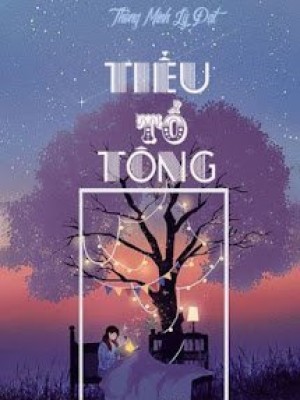 Tiểu tổ tông