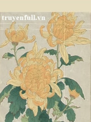 Tranh diên