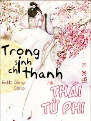 Trọng sinh chi thanh thái tử phi